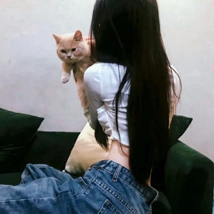 维罗提卡